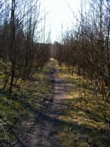 Mountainbikeweg