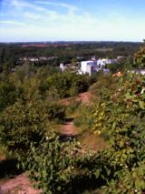 Mountainbikeweg