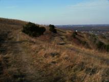 Mountainbikeweg