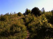 Mountainbikeweg